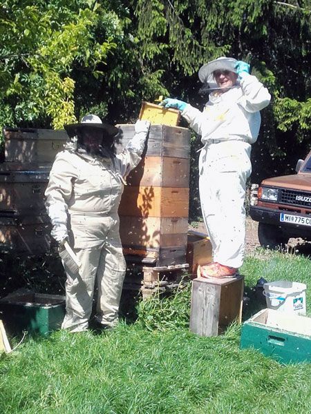 Imker-aus-Niederösterreich-bei-der-Arbeit