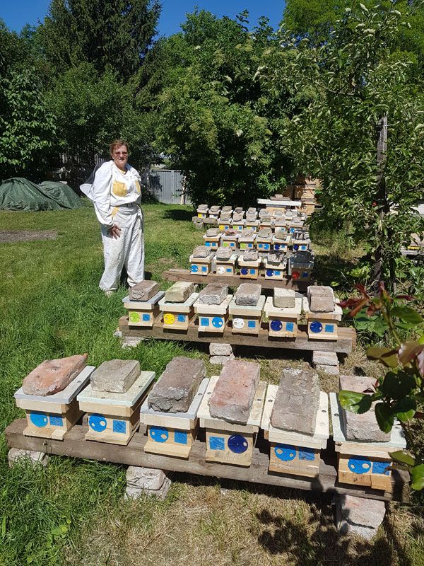 Imkerin Eva Muzlai-Hartner bei den Honigbienen